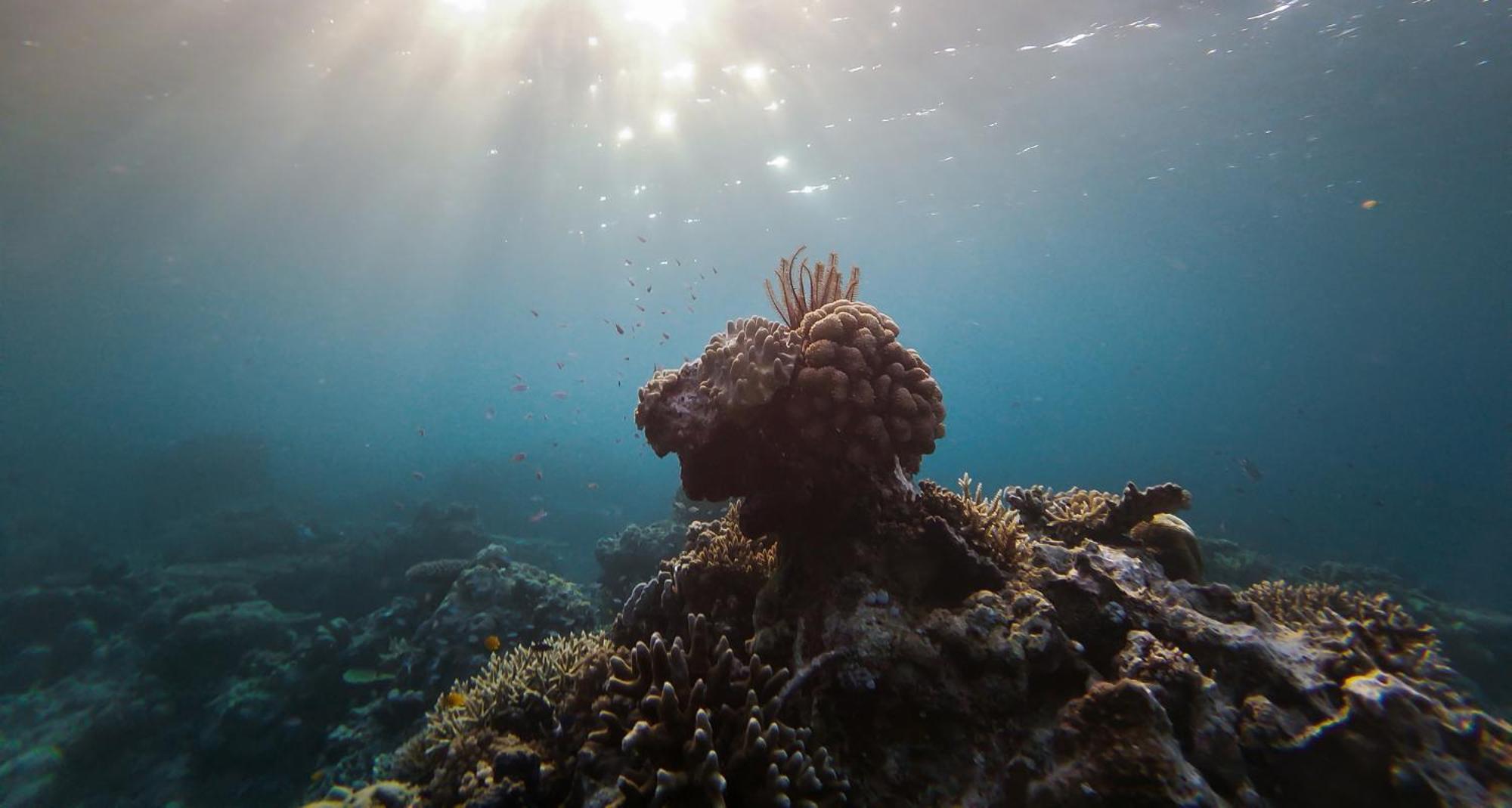 Hotel Menjaga Bay Labuan Bajo Zewnętrze zdjęcie
